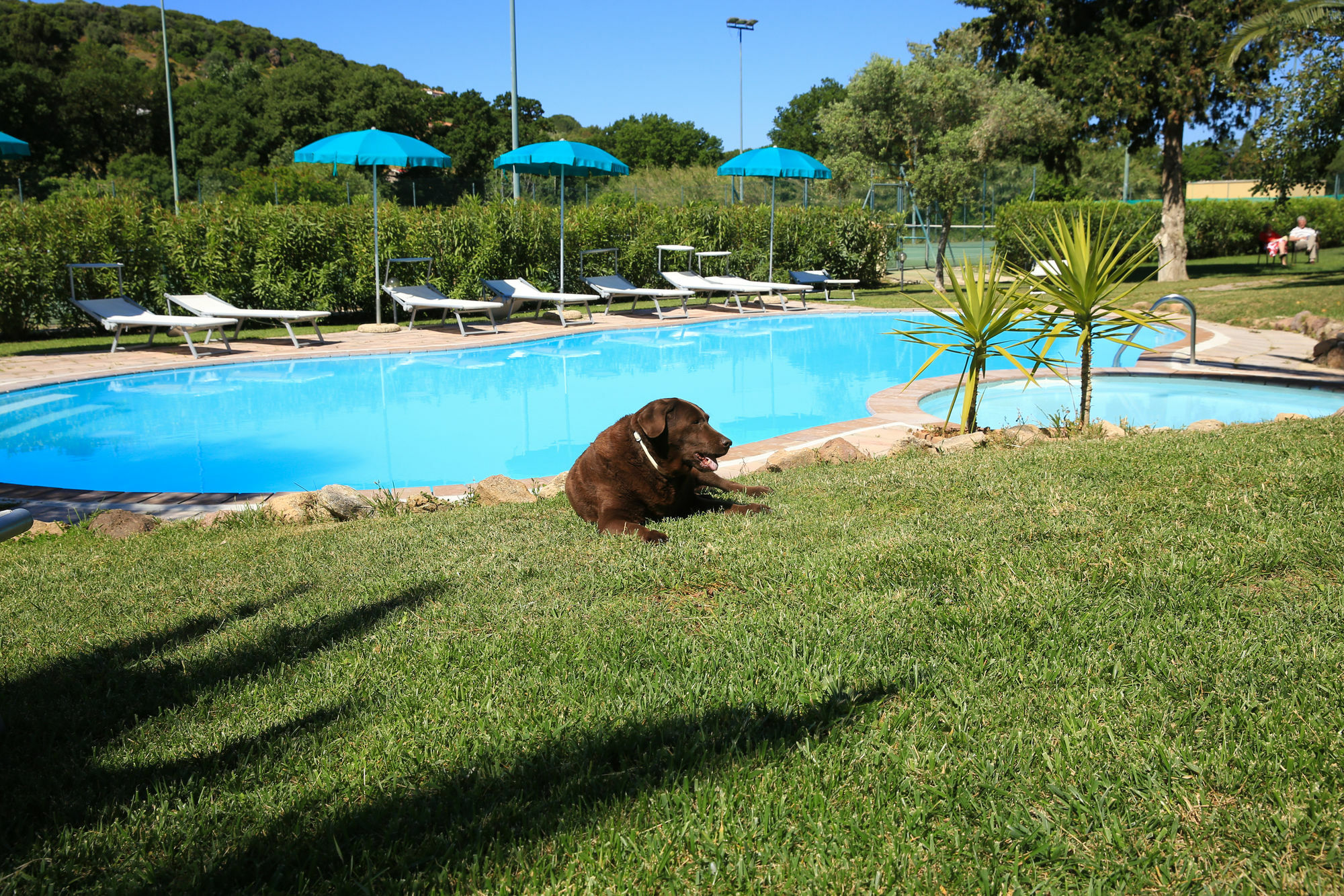 Alghero Resort Country Hotel & Spa Εξωτερικό φωτογραφία
